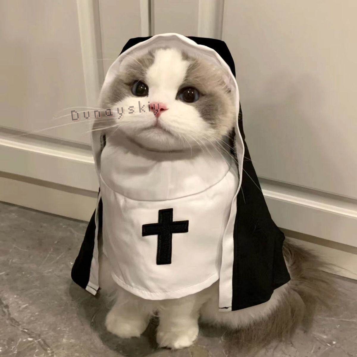Noel Evcil Köpek Kedi Cosplay  - Anime Cosplay Nun incelemesi ve fiyatı