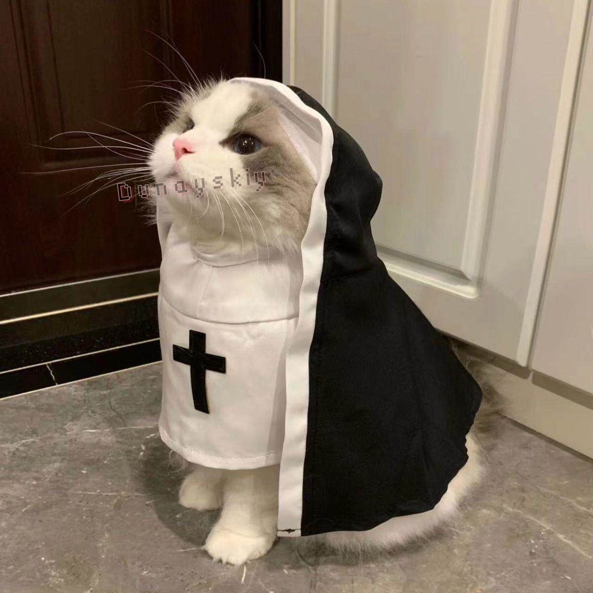 Noel Evcil Köpek Kedi Cosplay  - Anime Cosplay Nun incelemesi ve fiyatı