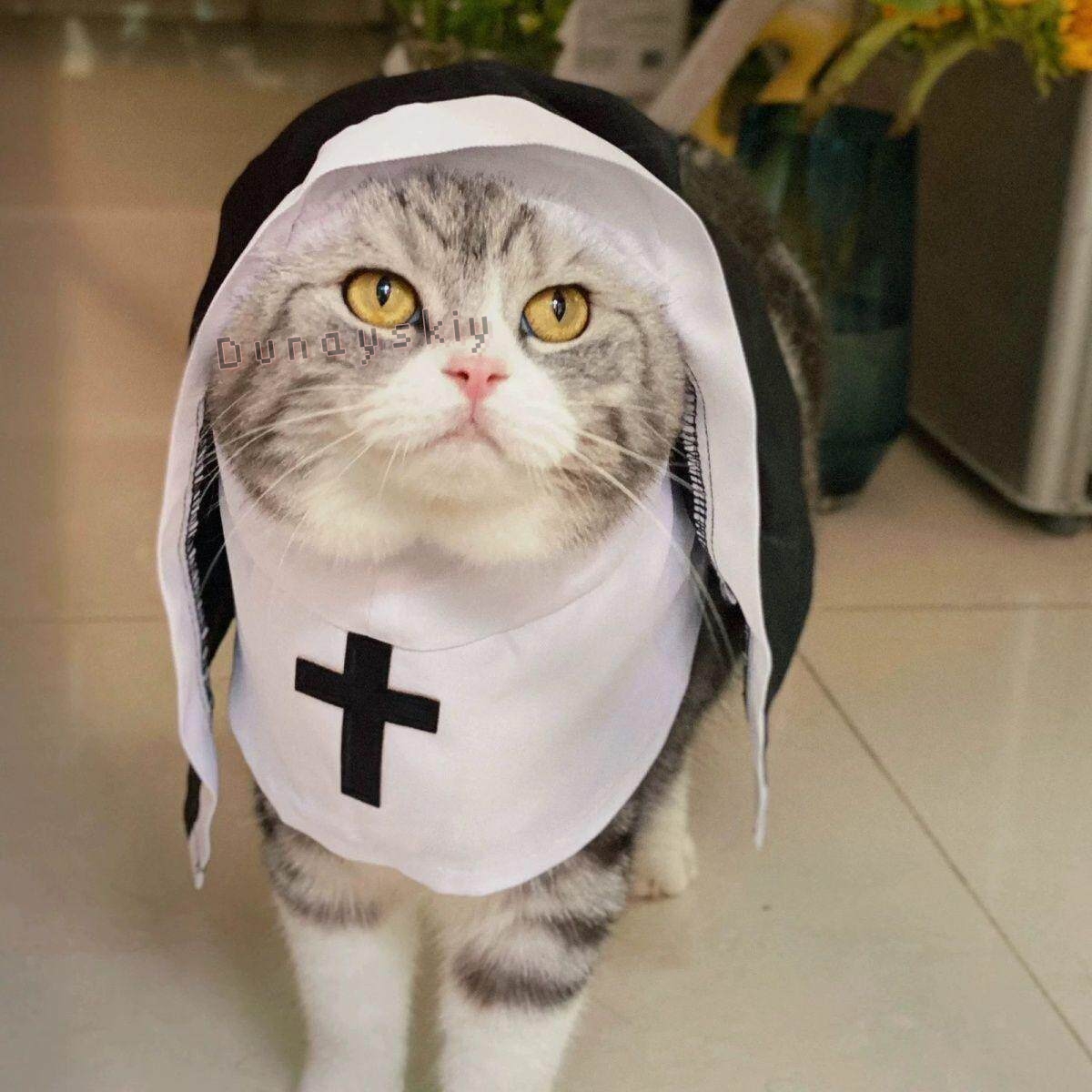 Noel Evcil Köpek Kedi Cosplay  - Anime Cosplay Nun incelemesi ve fiyatı